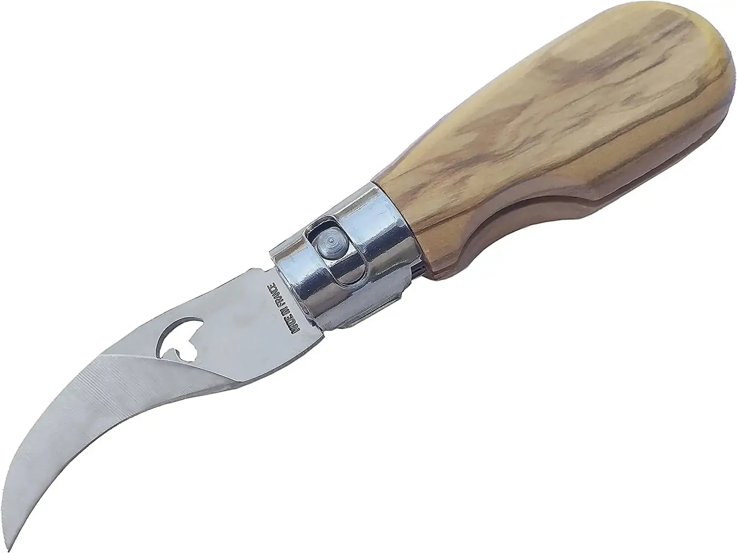 Couteau a Champignon Special Mycologique 15cm Avec Etui